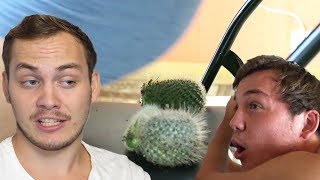 Jag Satt Mig På En Kaktus