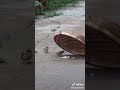 جميل ان تضحي من اجل من تحب جميل ان تضحي من اجل من تحب