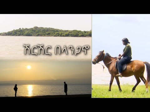 ቪዲዮ: ረጅም ሀይቅ ክፍት ነው?