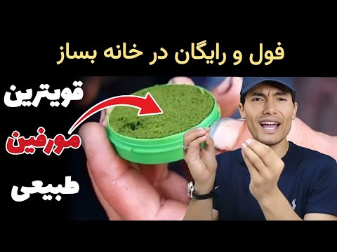 با این روش قویترین مورفین طبیعی را ساختم نسوار چگونه و از چه تولید میشود