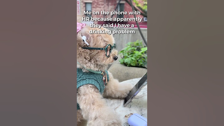 Me on the phone with HR because…. #noodlesthepooch #workhumor #funnyshorts #funnydog