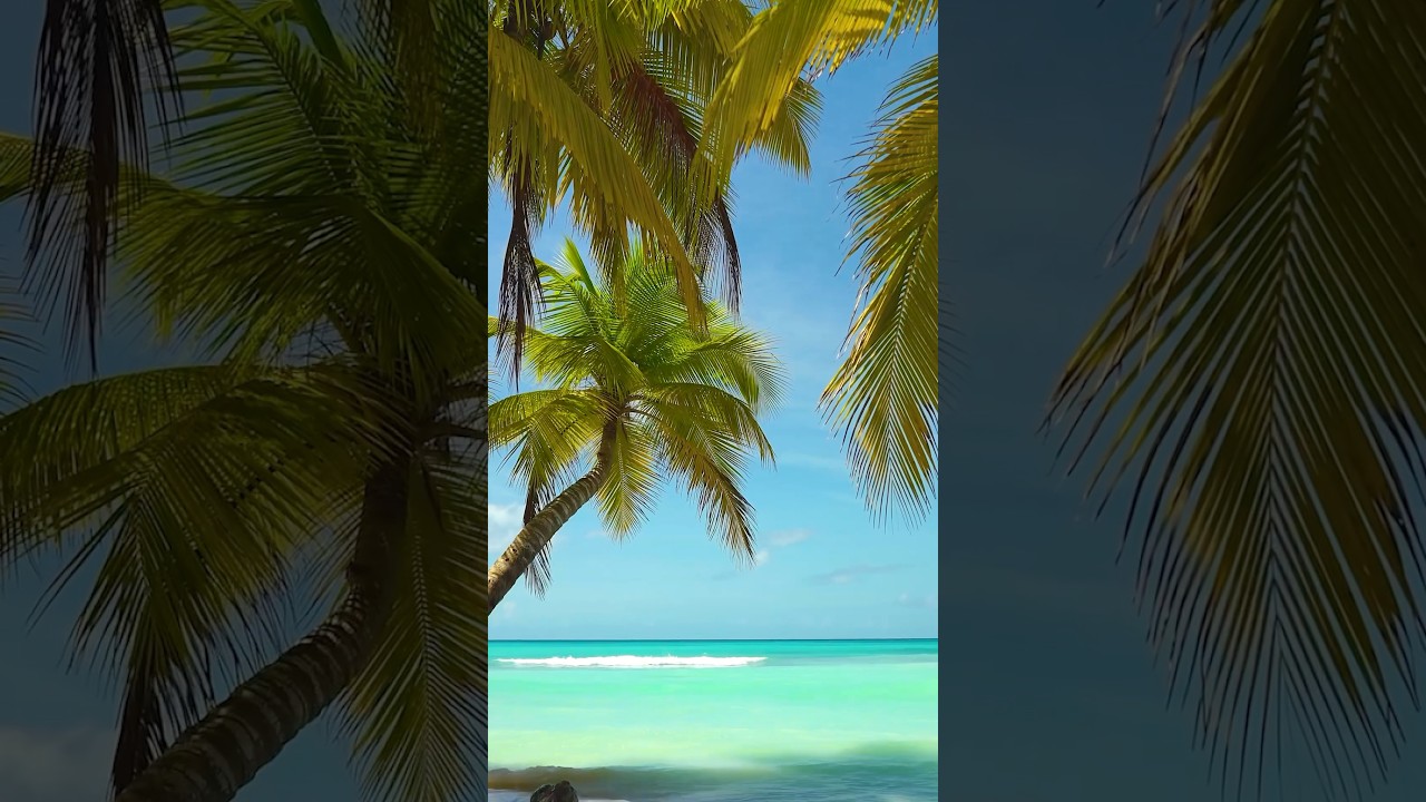 Watch Free To Use In Short Videos: Palms - by AShamaluevMusic on YouTube Watch Free To Use In Short Videos: Palms - by AShamaluevMusic on YouTube
