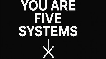 THE FIVE FORCES THAT BUILD YOUR REAL IDENTITY 