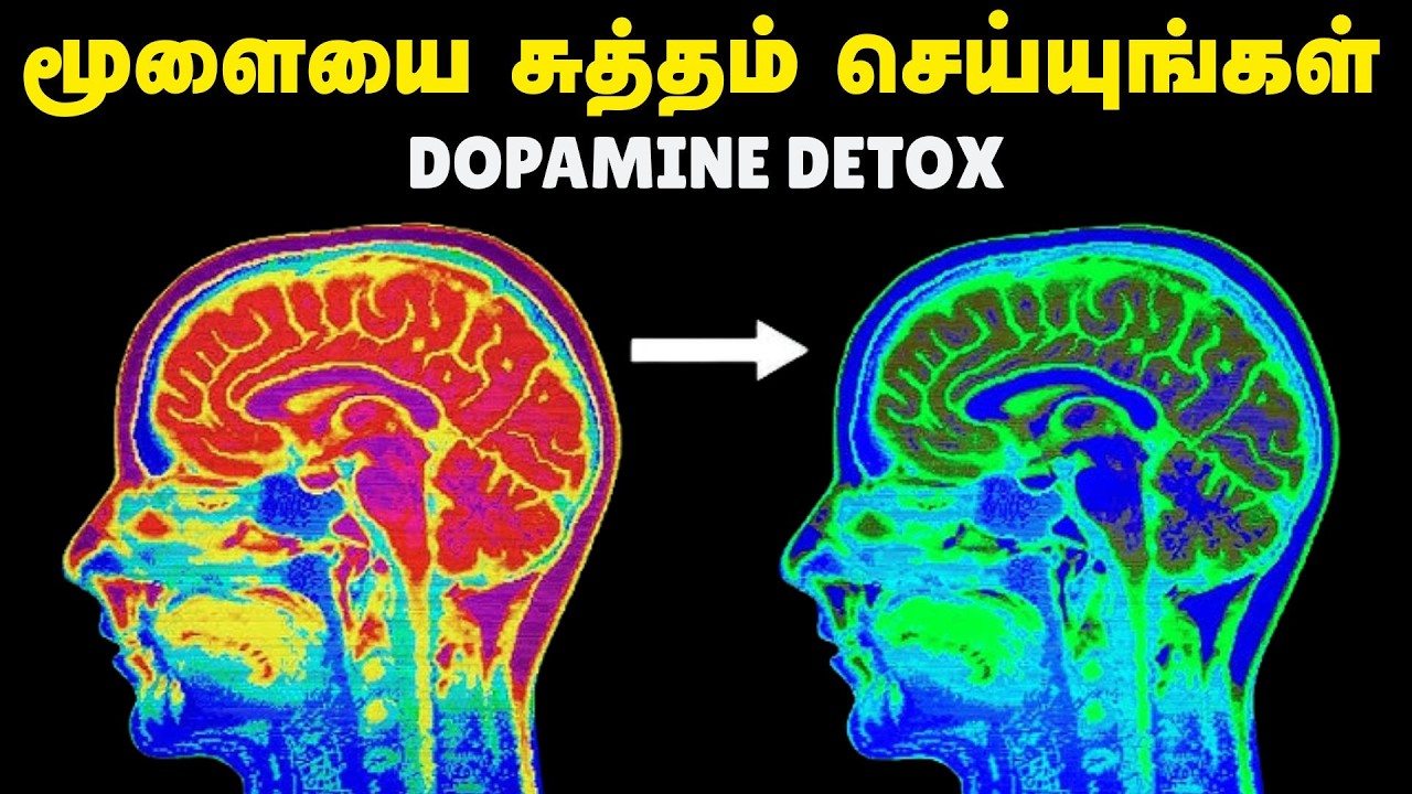 மூளையை சுத்தம் செய்யுங்கள் | How To Do Dopamine Detox In Tamil ...