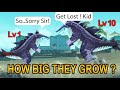 ALL SHARK SIZE COMPARISON LEVEL 1 vs LEVEL 10. Gameplay Sharkjira Abysshark | Hungry Shark Evolution