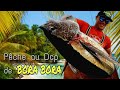 On pche au dcp de bora bora on croise une espce trange