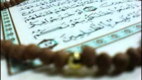 سورة غافر  برواية البزي عن ابن كثير / محمد العبدالله