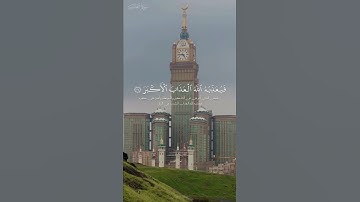 {أفلا ينظرون إلى الإبل كيَف خُلقَت} #ماهر_المعيقلي #سورةـ الغاشيه #القرآن_الكريم