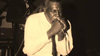 Howlin&#39; Wolf-Forty Four (Rockin&#39; the Blues Live in Germany 1964)