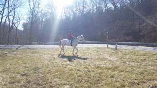 Finn flat aside 1