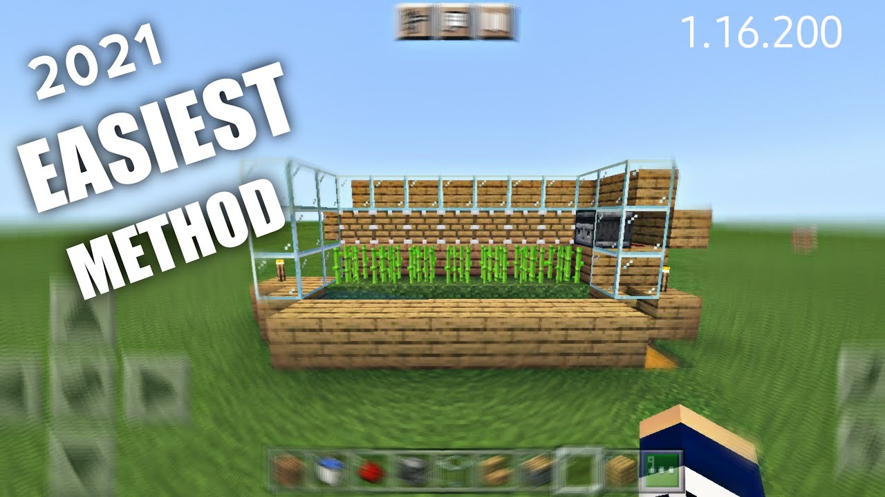 How To Make Auto Sugarcane Farm in Minecraft PE / Bedrock Edition in ...