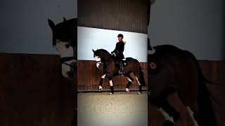 Horses can’t have aura😬 #trending #equestrian #horse #aura #edit