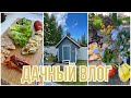 Дачный влог. Участок сразу стал аккуратным. Вкуснейший завтрак 🥞.