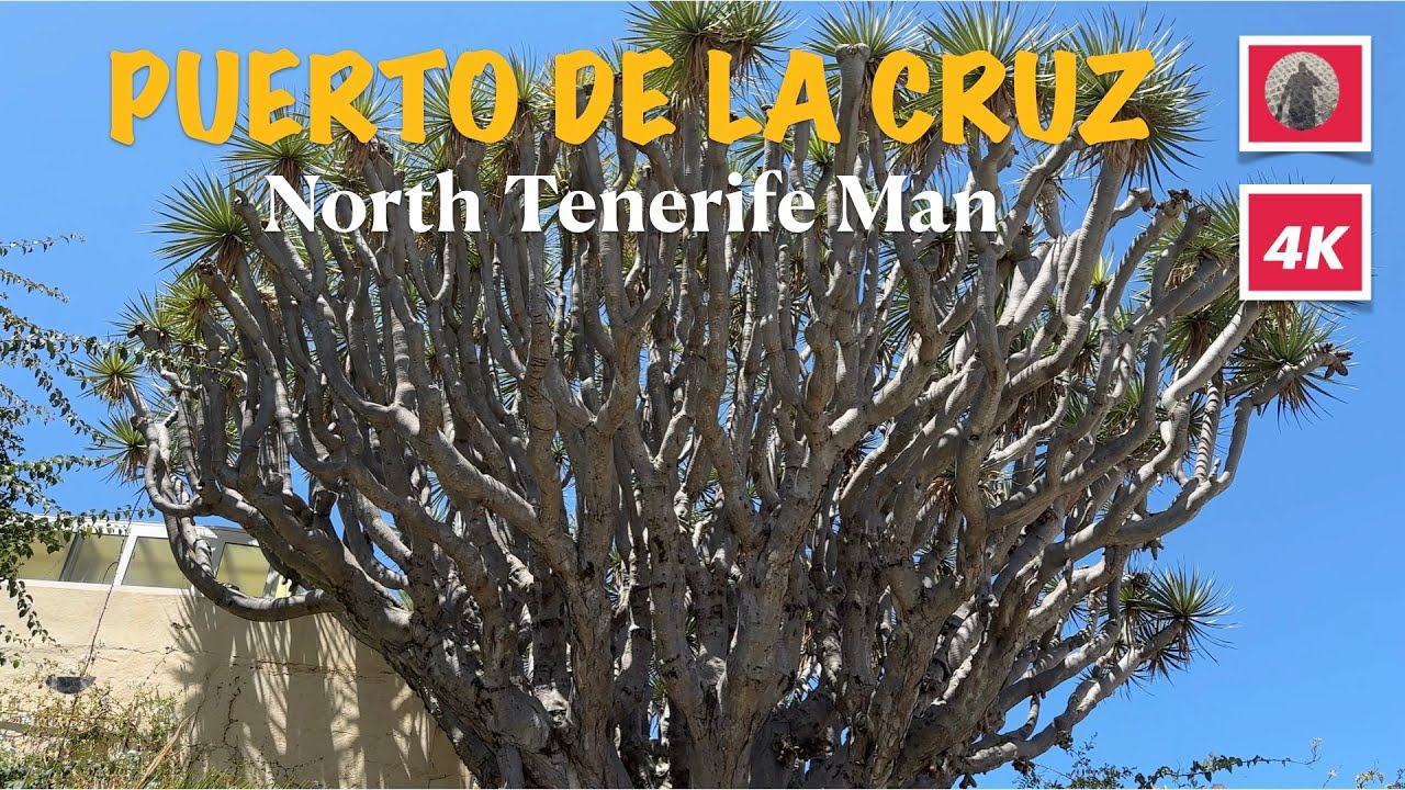 TENERIFE, Puerto de la Cruz, Jardín Histórico de Orquideas de Sitio Litre