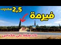 الجديد فيرمة على الكودرون 20دقيقة على مكناس طريق الرباط ضيعة مجهزة والماء موجود بامكنا الأصلية الجديد فيرمة على الكودرون 20دقيقة على مكناس طريق الرباط ضيعة مجهزة والماء موجود بامكنا الأصلية