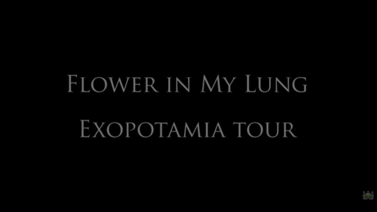 Flower in My Lung Exopotamia Tour 2015 YouTube