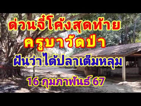 ด่วนจี๋โค้งสุดท้ายครูบาวัดป่าฝันว่าได้ปลาเต็มหลุม16 กุมภาพันธ์ 67