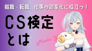 CS検定とは【Vtuver講師と学ぶパソコン検定】就職・転職・仕事の効率化に役立つ