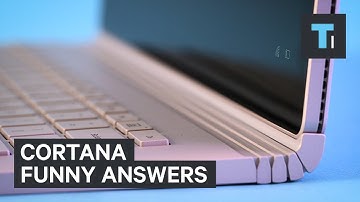 Cortana funny questions