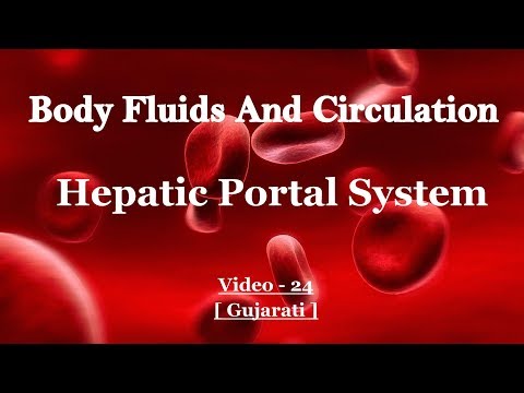 Body fluid and circulation - Hepatic Portal System