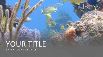 You Exec - Video Backgrounds for Powerpoint and Keynote