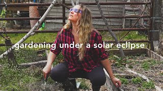 Spring garden cleanup ... under a solar eclipse!  (story 71)