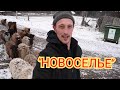 УРА НОВОСЕЛЬЕ! Кто дольше ждал мы или они. Что с ними делать.