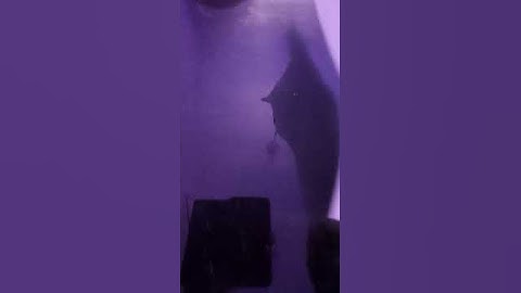 Introduction to HTML CSS XML 2021 question paper BCA 1semester(DBRAU)