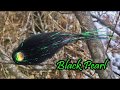 Pike fly tying black pearl