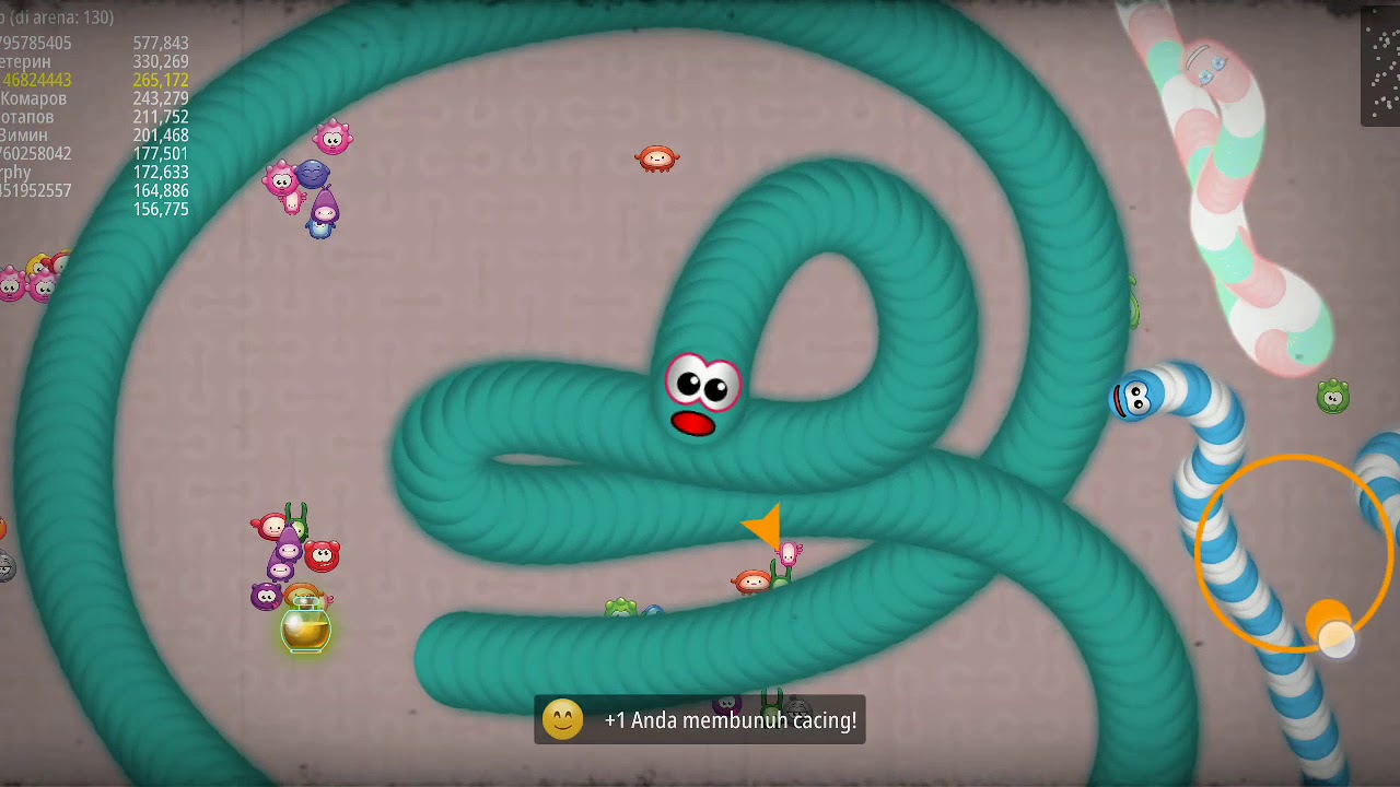 Anaconda Terbesar Di Dunia Ular terbesar di dunia ganas YouTube Anaconda Terbesar Di Dunia Ular terbesar di dunia ganas YouTube