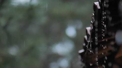 سورة الأعراف / أحمد الحذيفي