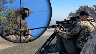 The Best Baboon Hunt On The Internet: The Apex Varmint