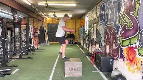 SL Reactive Box Jump