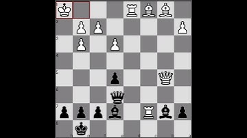 Mate In 4 Move!! Chess Puzzles!! Chess Tactics 👑