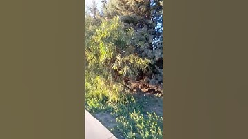 مدينة ويسلان مكناس المغرب لعلاج السحر المداومة على قراءة سورة ال عمران باذن الله👌👌