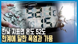 극한 폭염에 가뭄까지, 이란 물부족 심각 (KBS_326회_2023.09.16.방송)