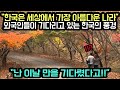 (해외반응) &quot;한국은 세상에서 가장 아름다운 나라&quot; 외국인들이 기다리고 있는 한국의 풍경 // &quot;난 이날 만을 기다렸다고!!&quot;