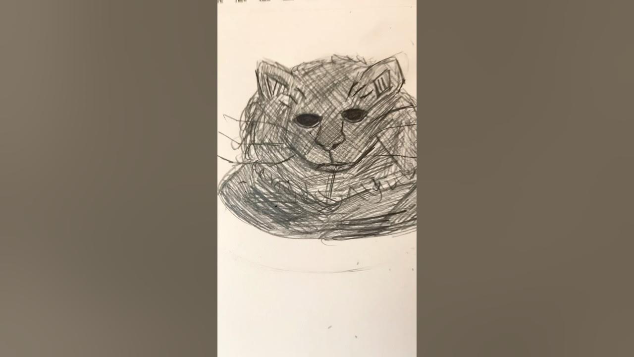 My favorite type of catblack cat for Halloween blackcat halloween 