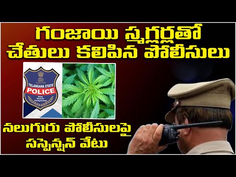 గంజాయి స్మగ్లర్లతో కలిసిన పోలీసుల! 4 Telangana Cops Suspended For Joining Hands With Ganja Smugglers