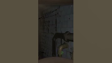 Meeting yippee bug for the first time in Lethal Company