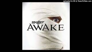 Skillet - Would It Matter