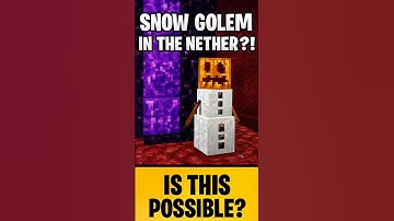 They said snow golems melt instantly in the Nether… so I had to test it #Minecraft #viral #myth