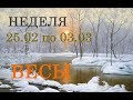 ВЕСЫ. ТАРО-ПРОГНОЗ на НЕДЕЛЮ с 25.02. по 03.03. + СЮРПРИЗ.