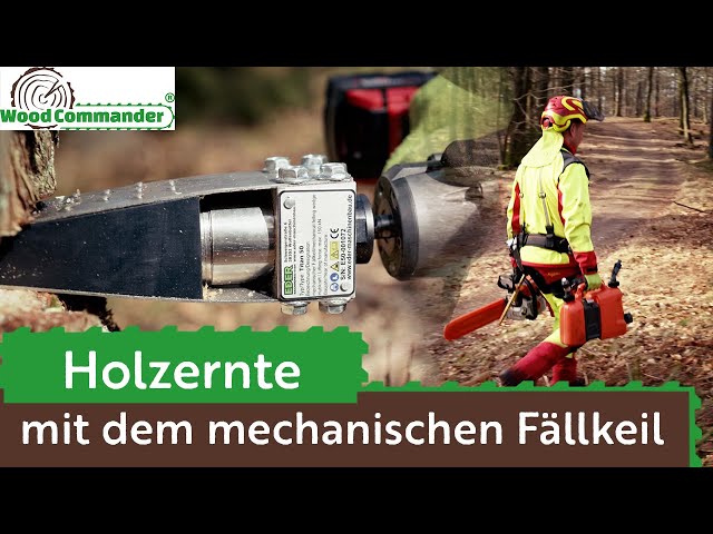 Mechanische Fällkeile: Leichter und sicherer arbeiten