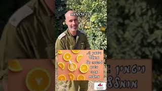מה הקשר בין אשכולית לדגים? מוזמנים לצפות בסרטון עם טיפ מגניב בנושא תזונת דגים