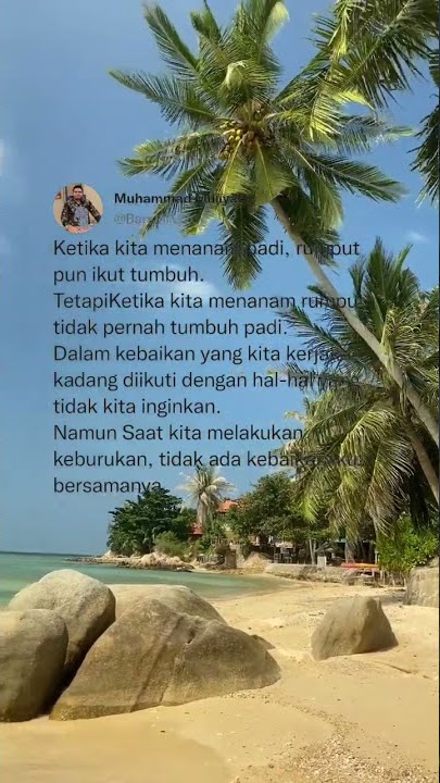 Ketika kita menanam padi, rumput pun ikut tumbuh.