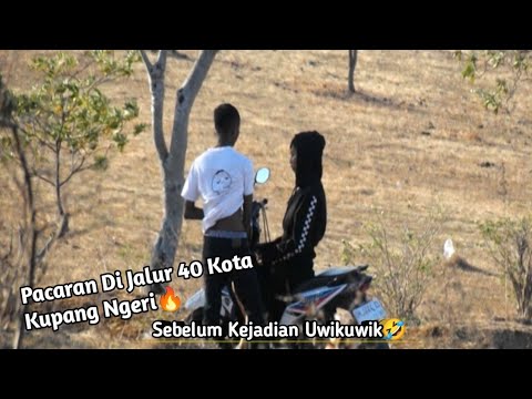 Lagi Viral Ni C3wek Cowok Pacaran Di Jalur 40 Kota Kupang❗Wowww Sedikit Lagi wekwek Hampir ketemu❗🤣😱