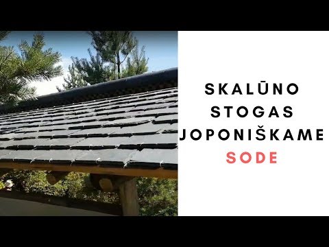 Video: Pusantro Hektaro Sodo Stogas