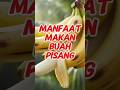 Manfaat Dahsyat Buah Pisang! Bikin Tubuh Kuat, Otak Fokus, dan Hati Bahagia!