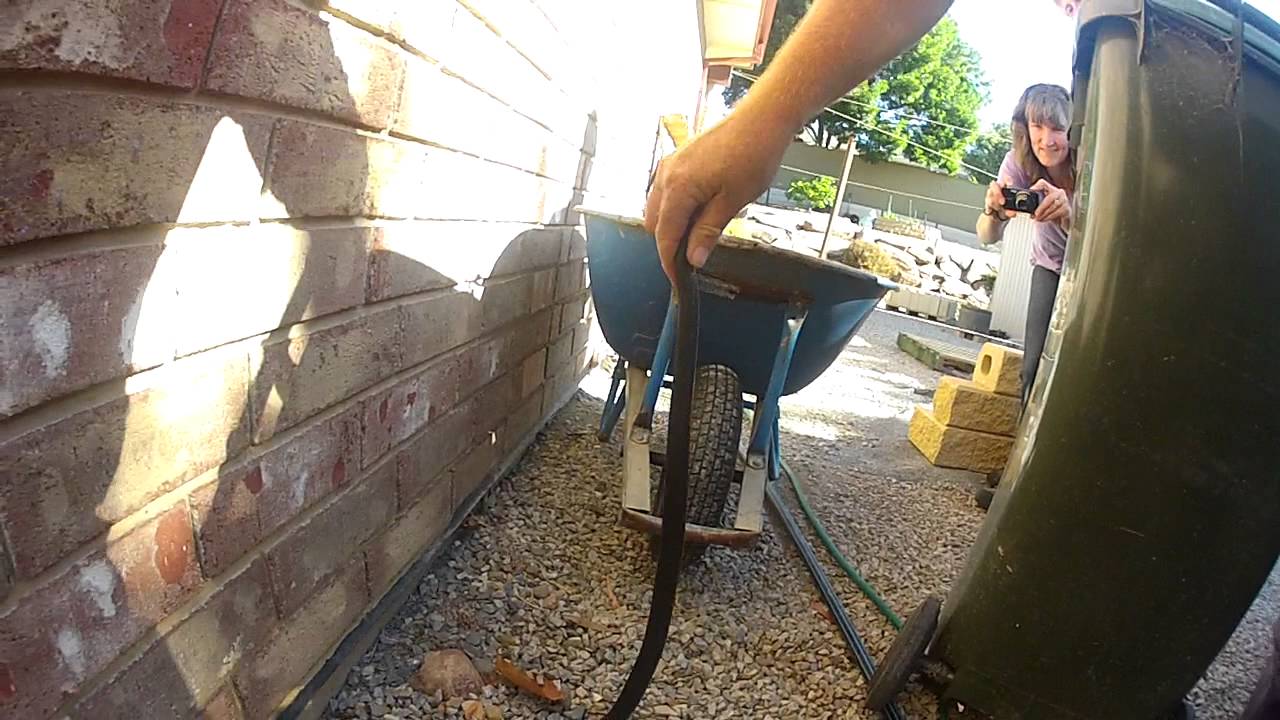 Snake under rubbish bin